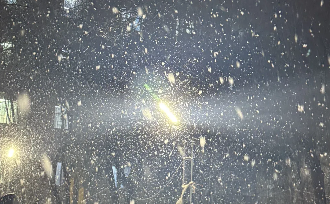 哈哈哈青岛也是下大雪了