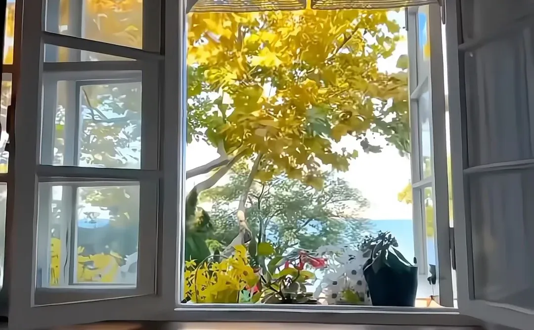 来青岛住我家吧！128俩人😭（12.9后空）