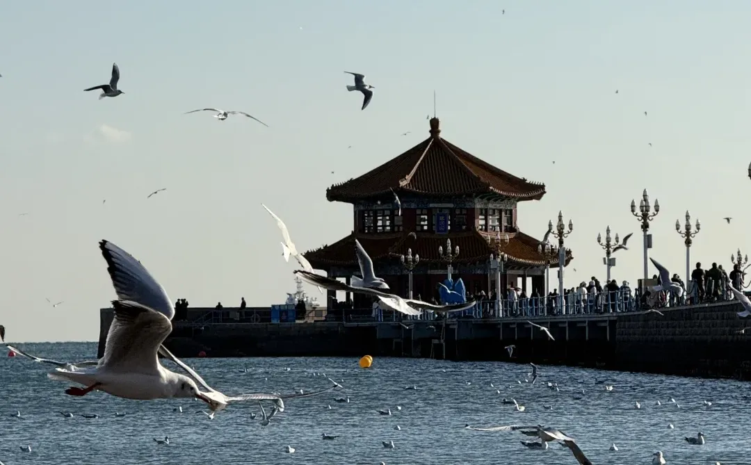 来青岛的第一站！！不要直奔栈桥！！！