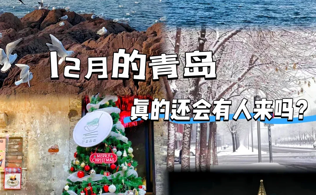 12月的青岛，主打一个听劝就能玩好