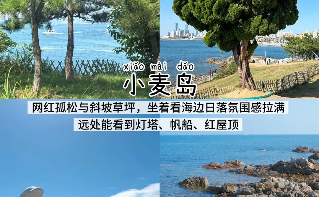 青岛三天两夜📍懒人版保姆级逛吃攻略‼️