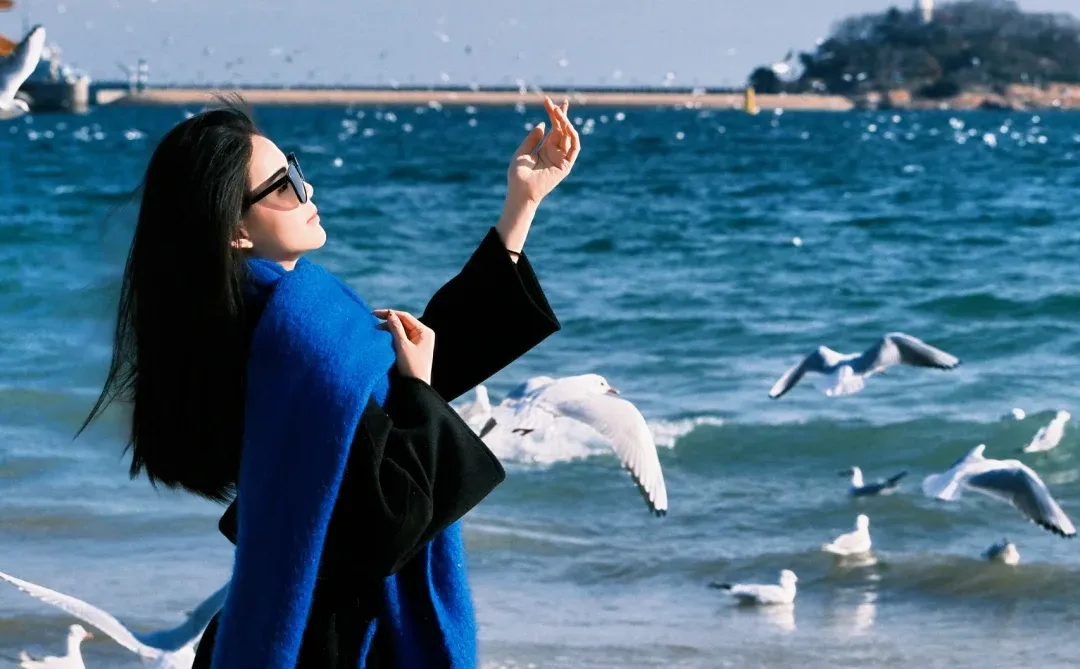 青岛进入海鸥季🕊️该去拍海鸥了（附攻略