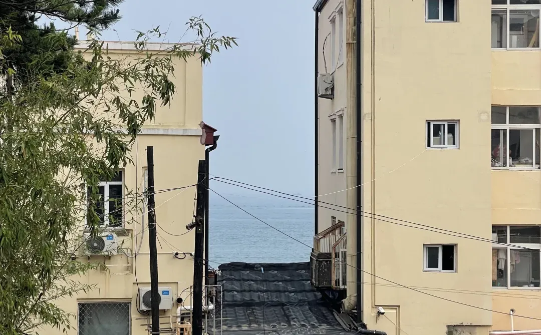 七月初青岛随记