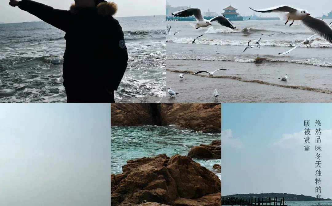北京出发丨周末出游丨📍第四站：青岛
