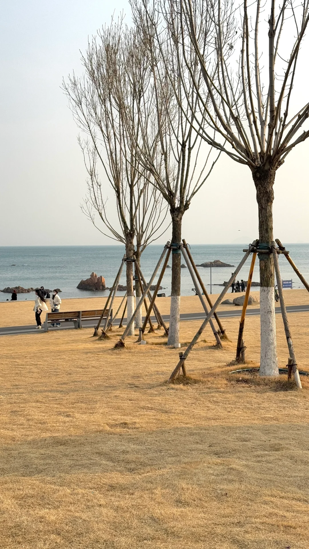 📍1.14来青岛了！冬天的大海怎么能不爱！