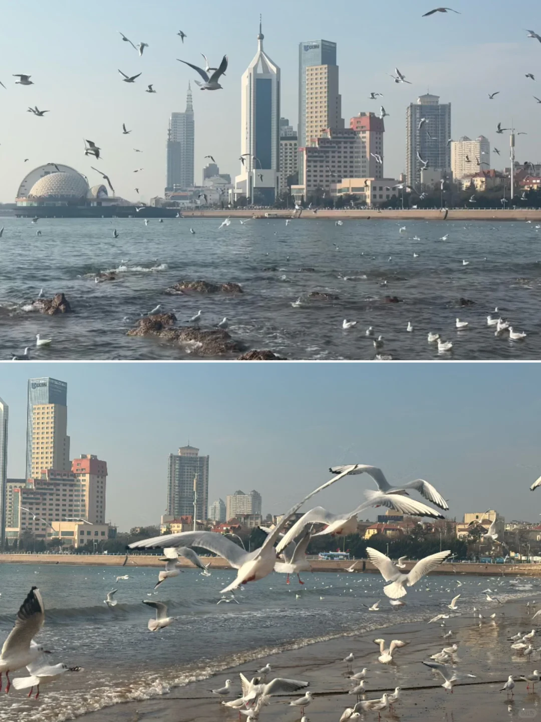 人均2.5k广州出发，山东追雪5日游之青岛站❄️