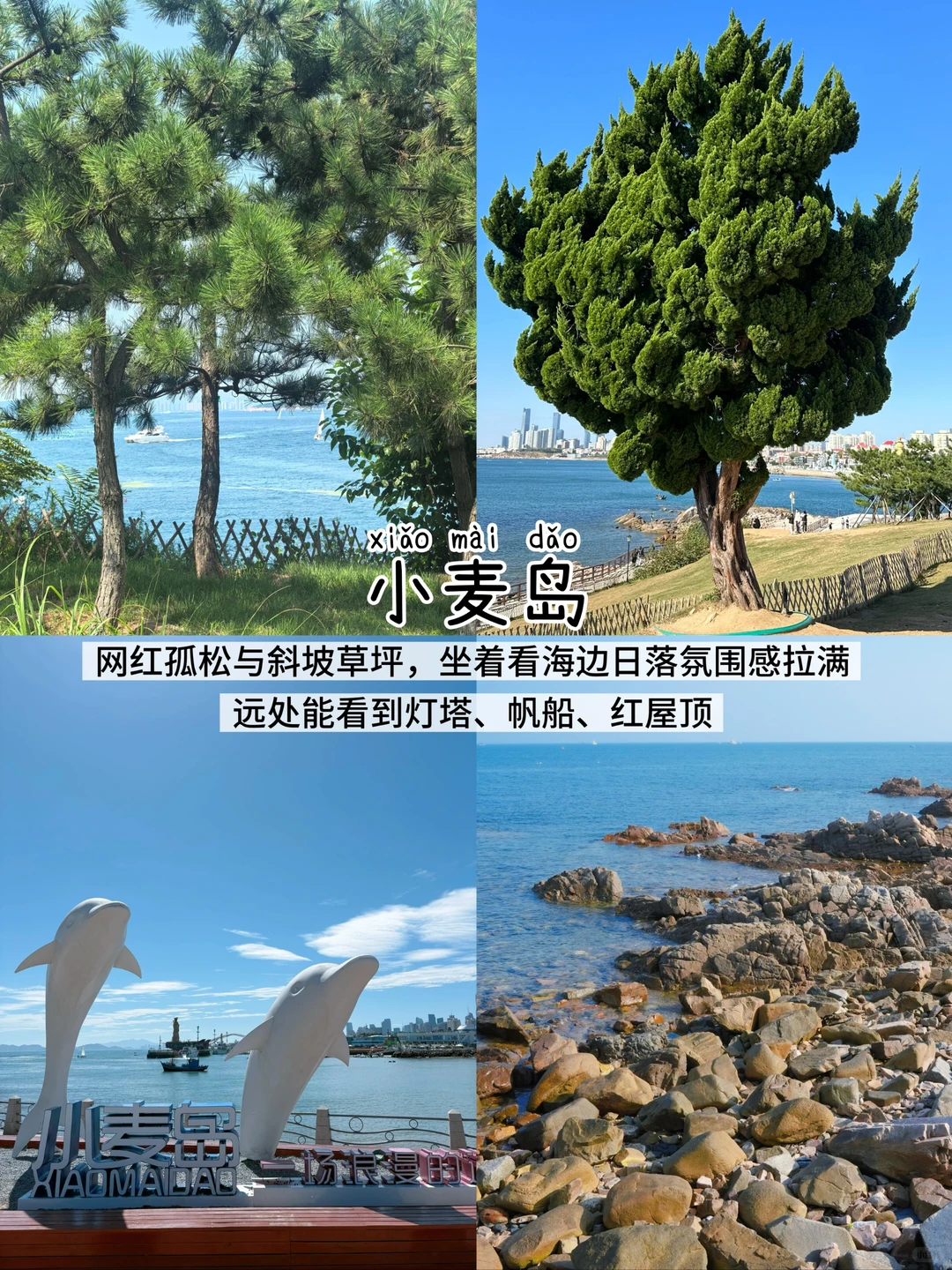 青岛三天两夜📍懒人版保姆级逛吃攻略‼️