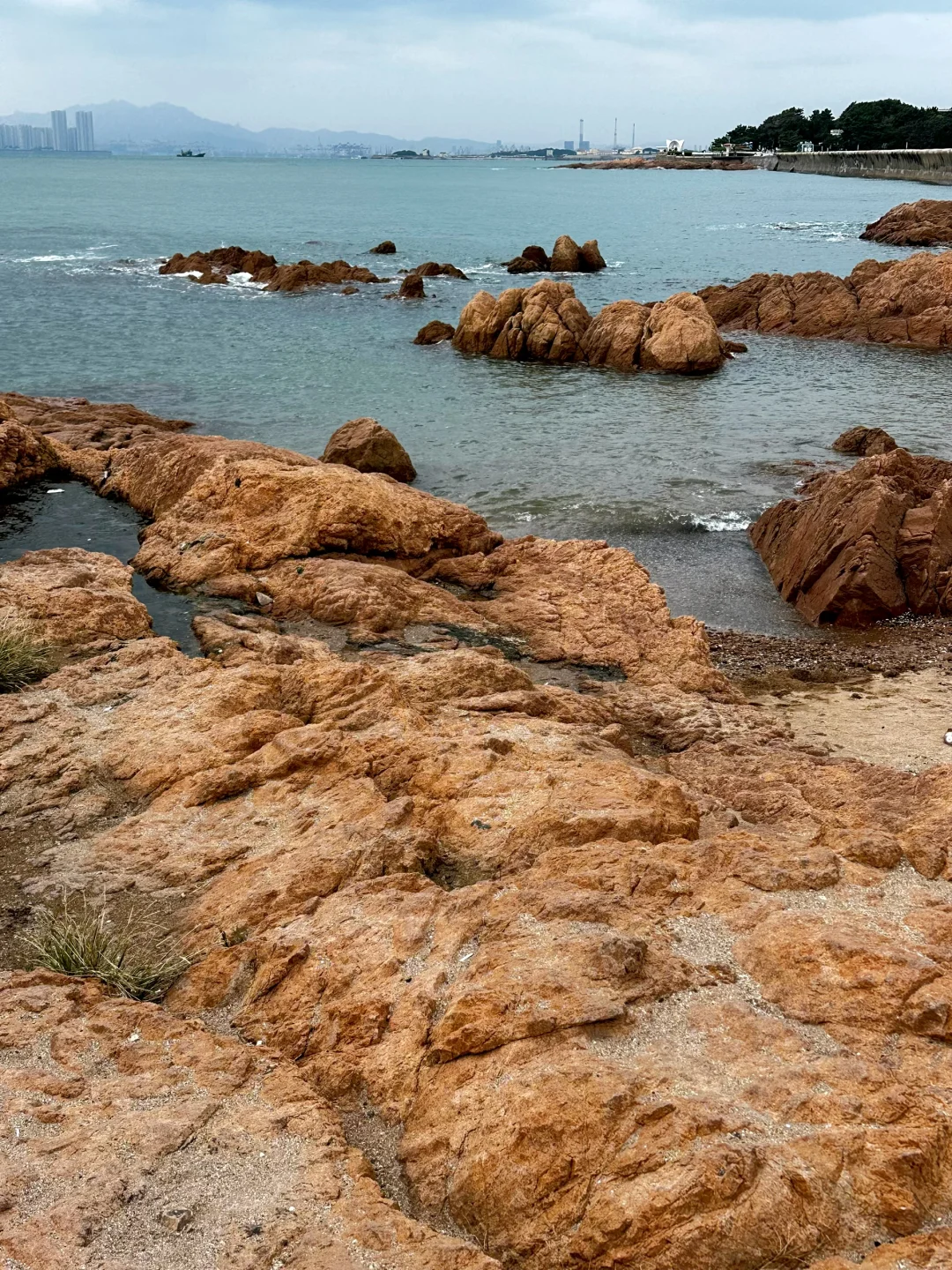 青岛真的是越冷越美啊🌊