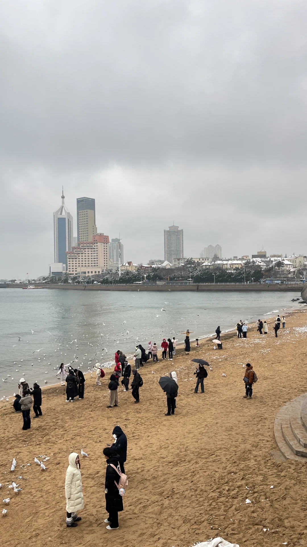 12.13 实况 ❄️青岛还在下雪～