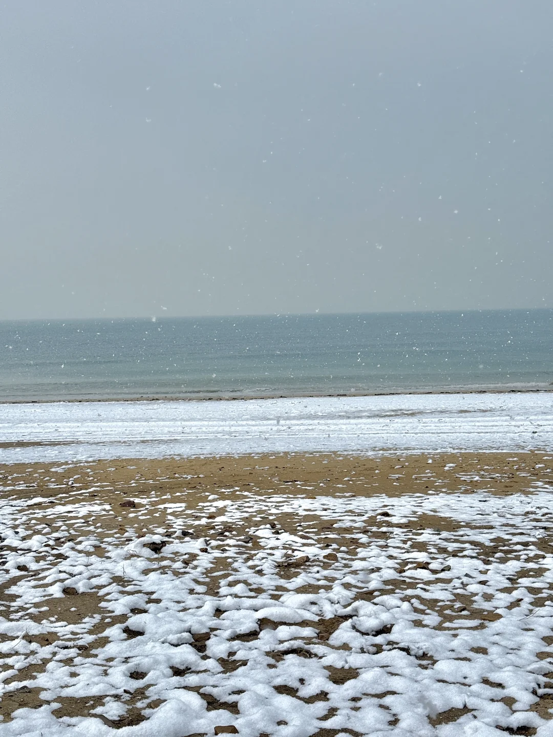 12.13实况，青岛初雪❄️！！美到失语