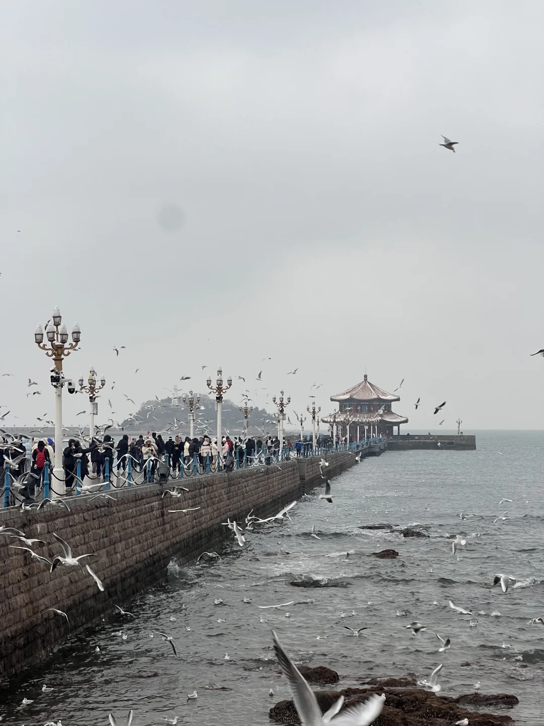 青岛栈桥粉丝/家禾免费拍