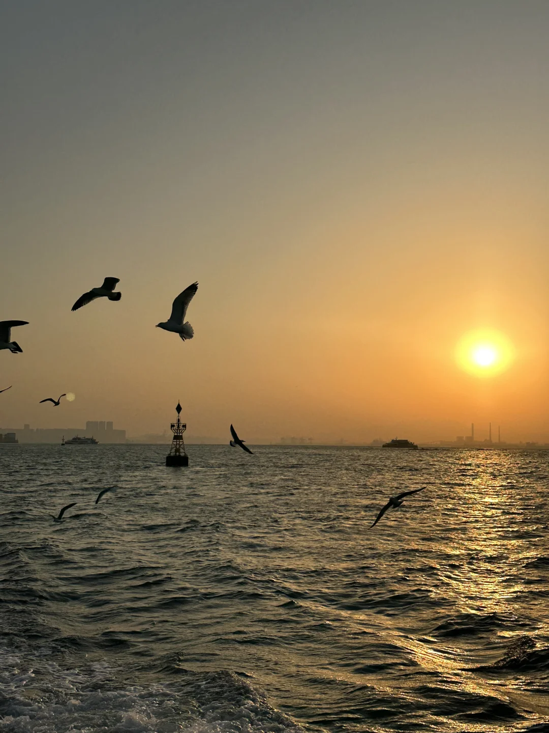 来青岛花的最值钱的。。。。。