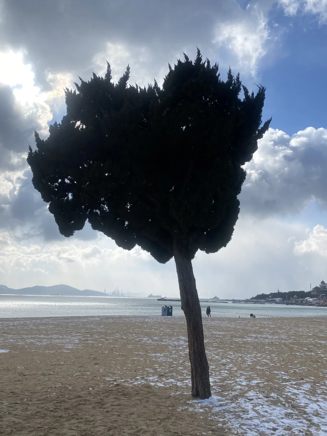 📍雪后的青岛氛围感真的好强！
