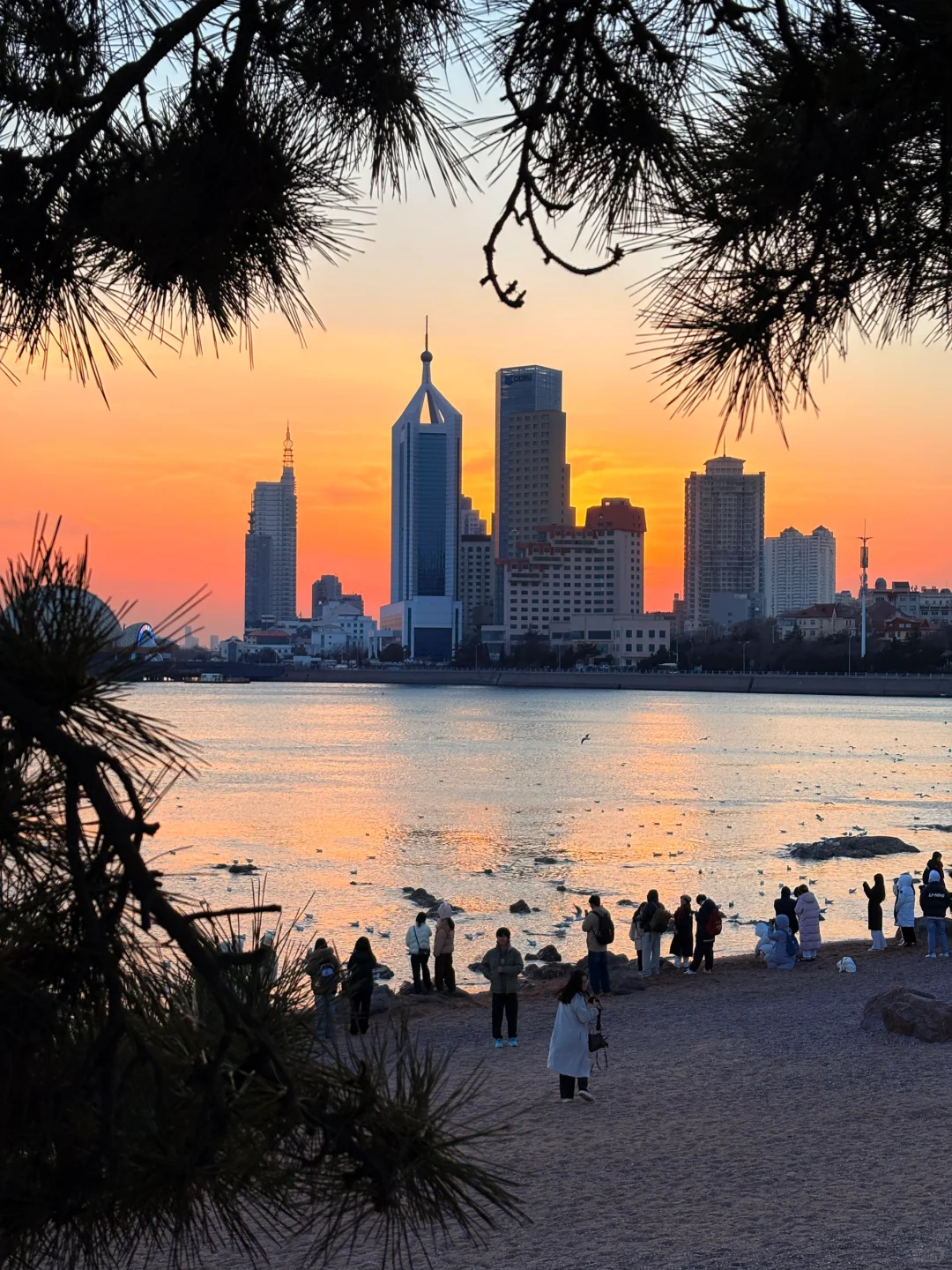 12🈷️的青岛才是真正的Dream world📍