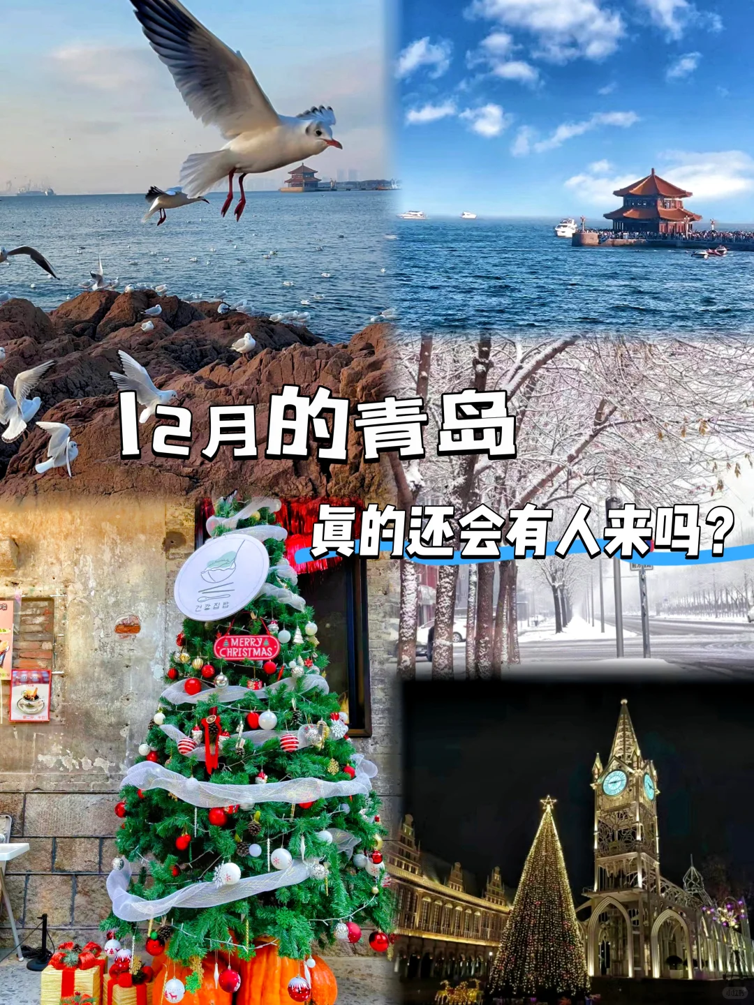 12月的青岛，主打一个听劝就能玩好