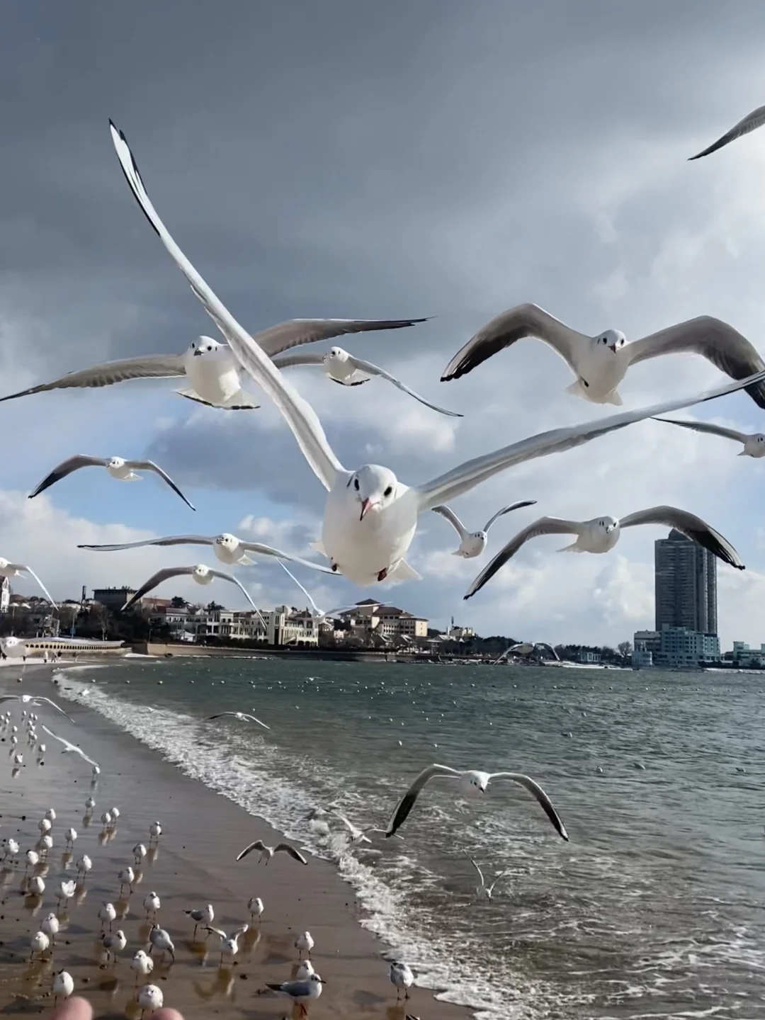 📍雪后的青岛氛围感真的好强！