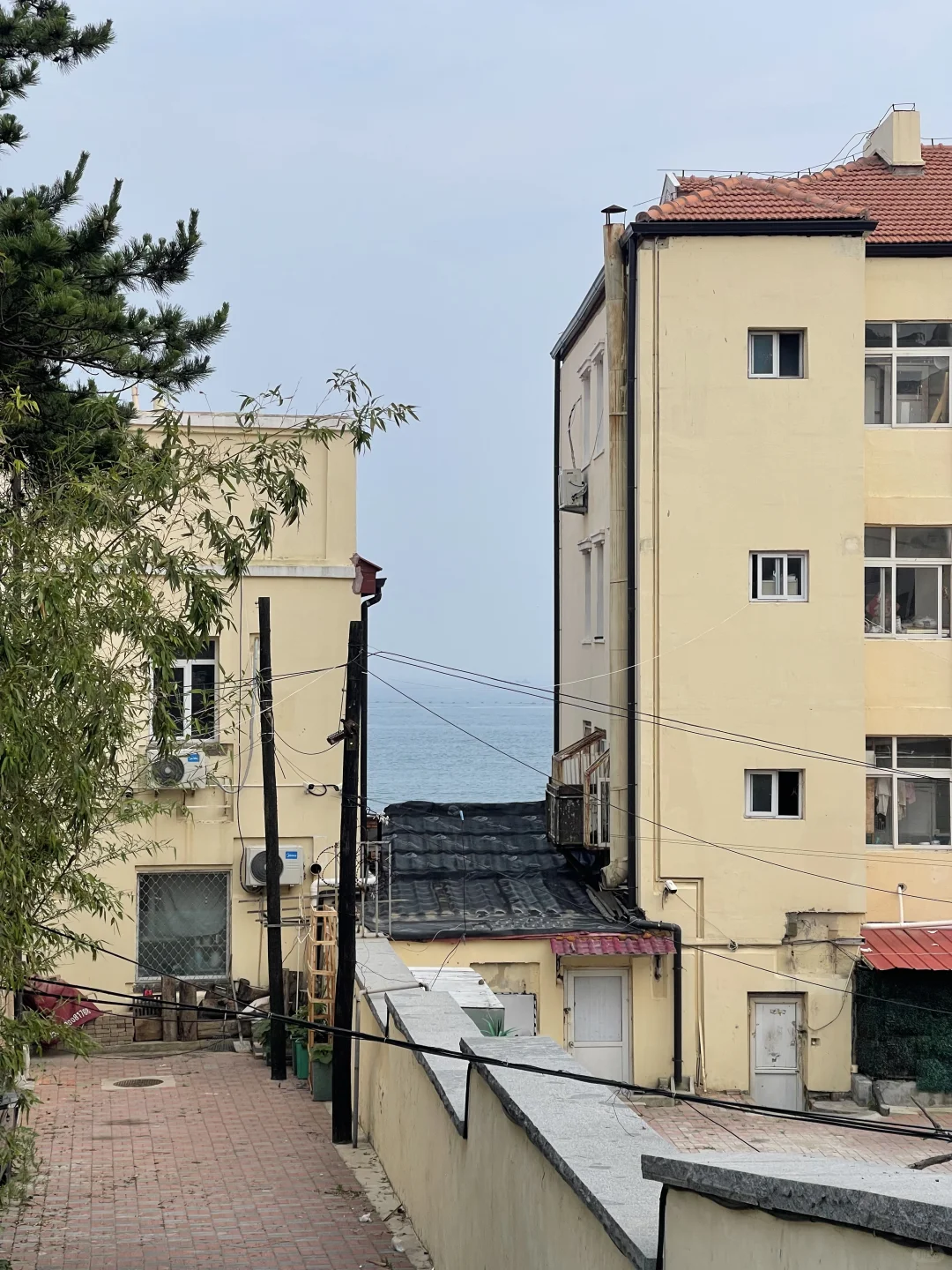 七月初青岛随记