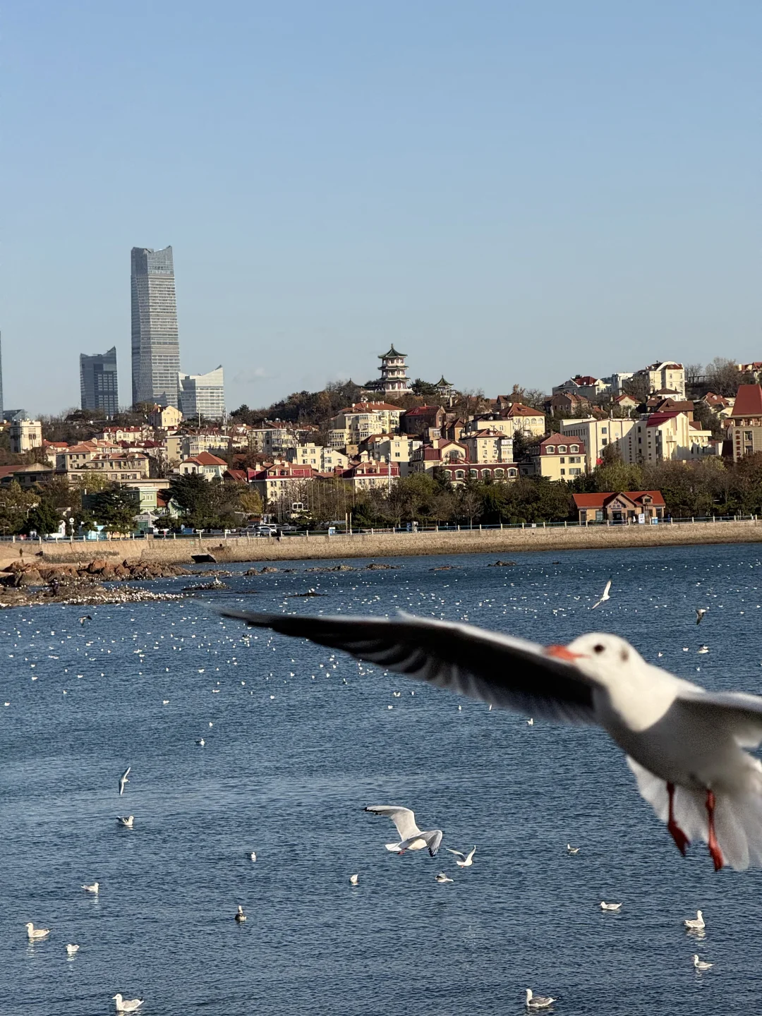 来青岛的第一站！！不要直奔栈桥！！！