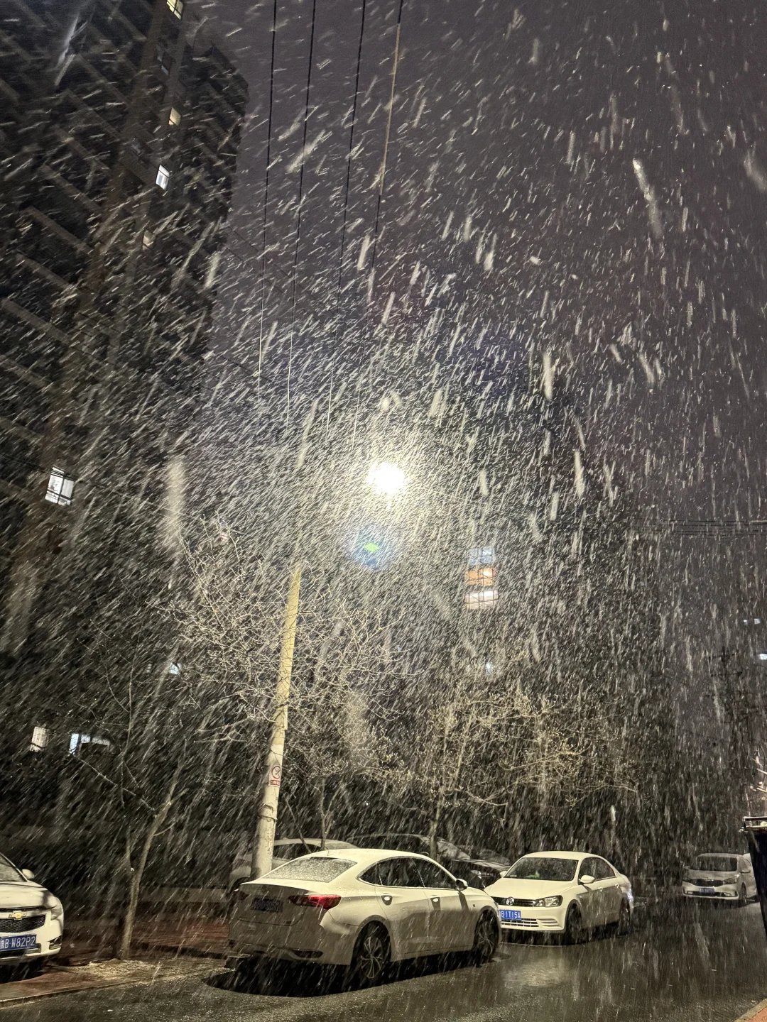 青岛下大雪了！！