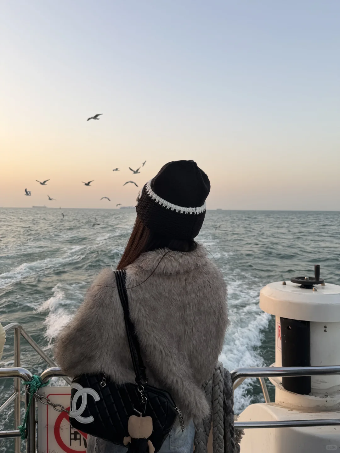 来青岛花的最值钱的。。。。。