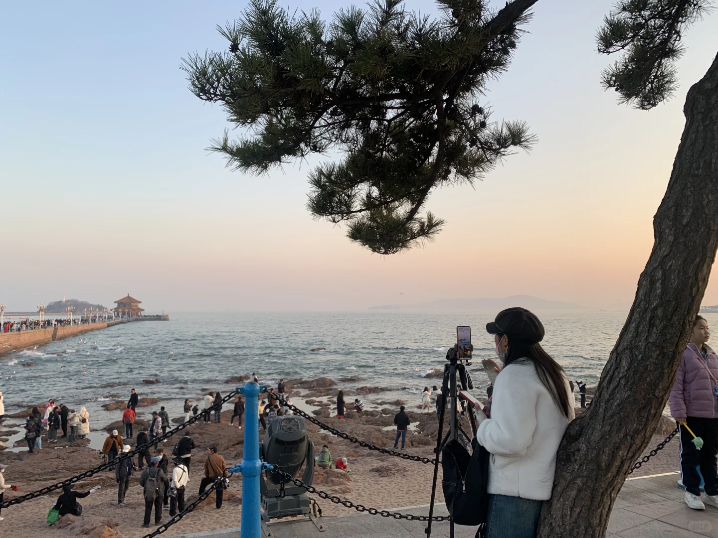 青岛栈桥今日实况