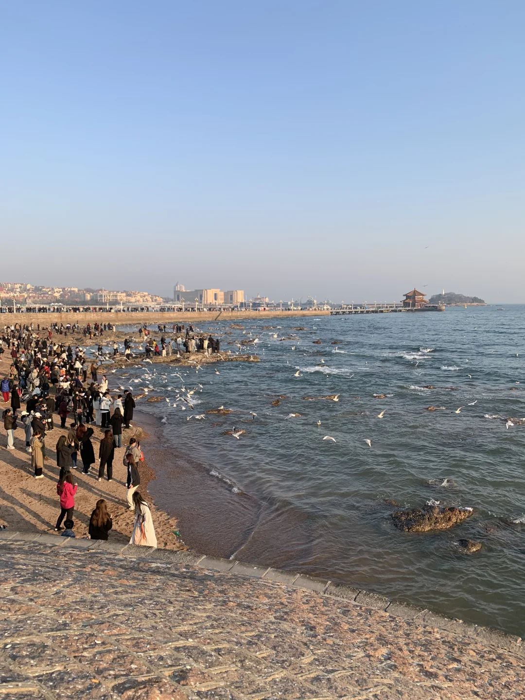 青岛栈桥今日实况