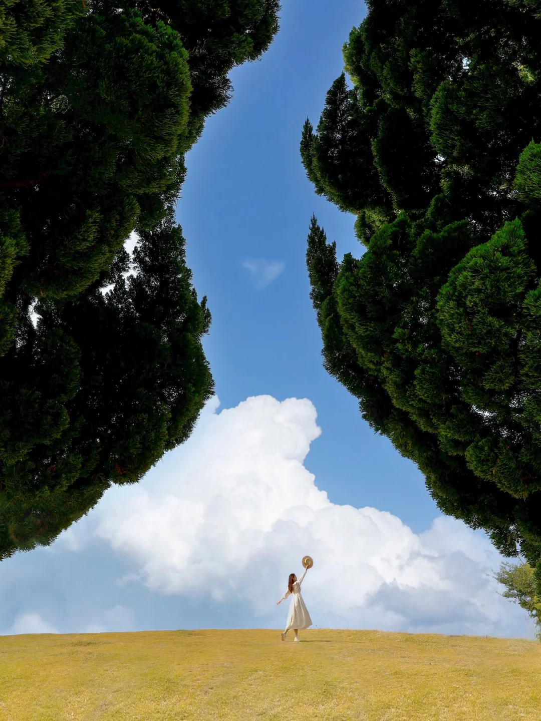 人生建议❗️❗️来青岛一定要去的1️⃣8️⃣个地方