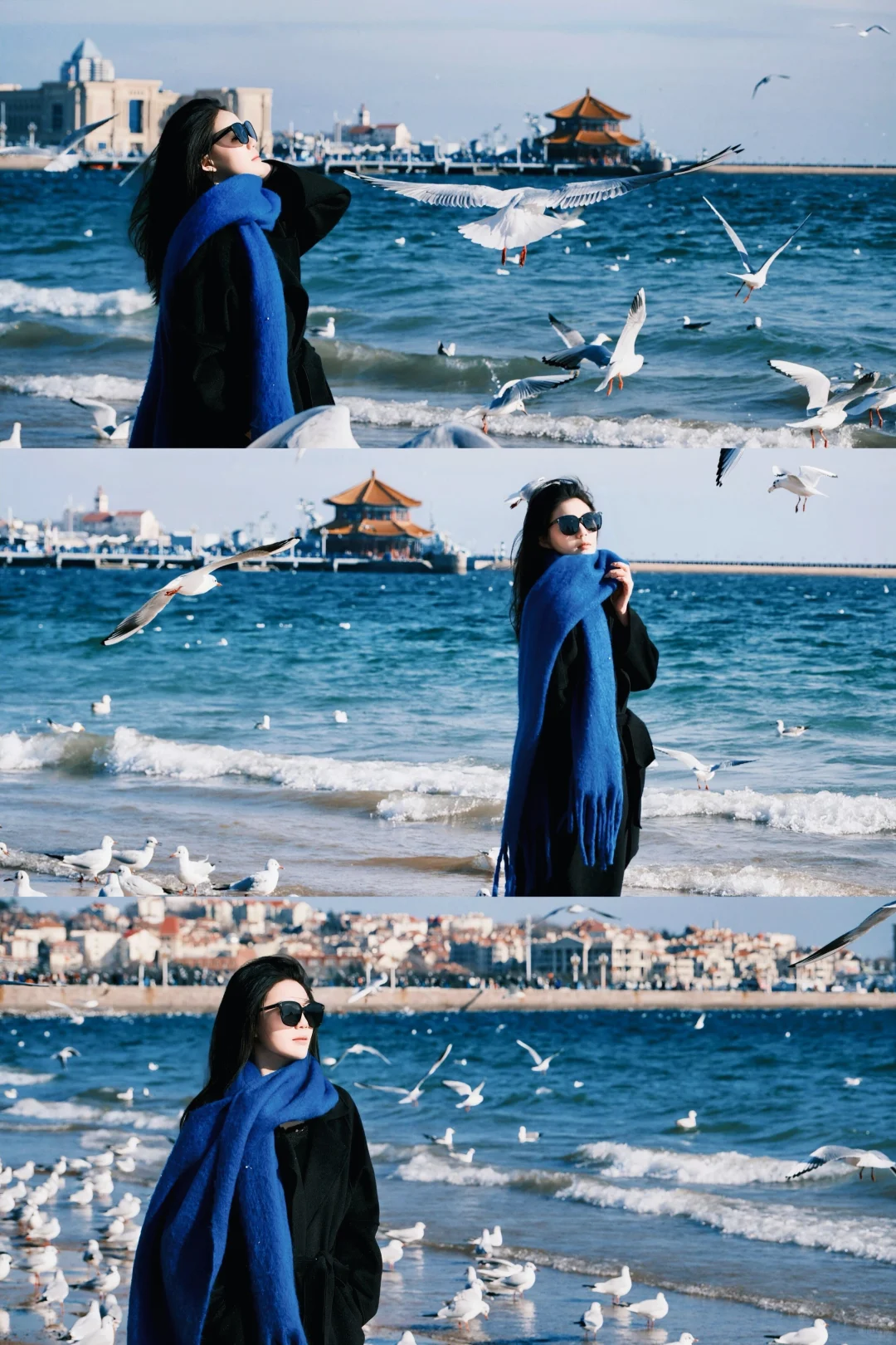 青岛进入海鸥季🕊️该去拍海鸥了（附攻略