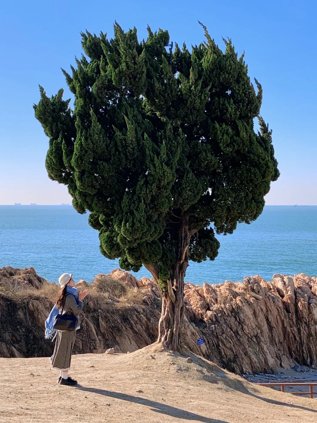 Live实况!来青岛拍到了1️⃣8️⃣张人生照片!!