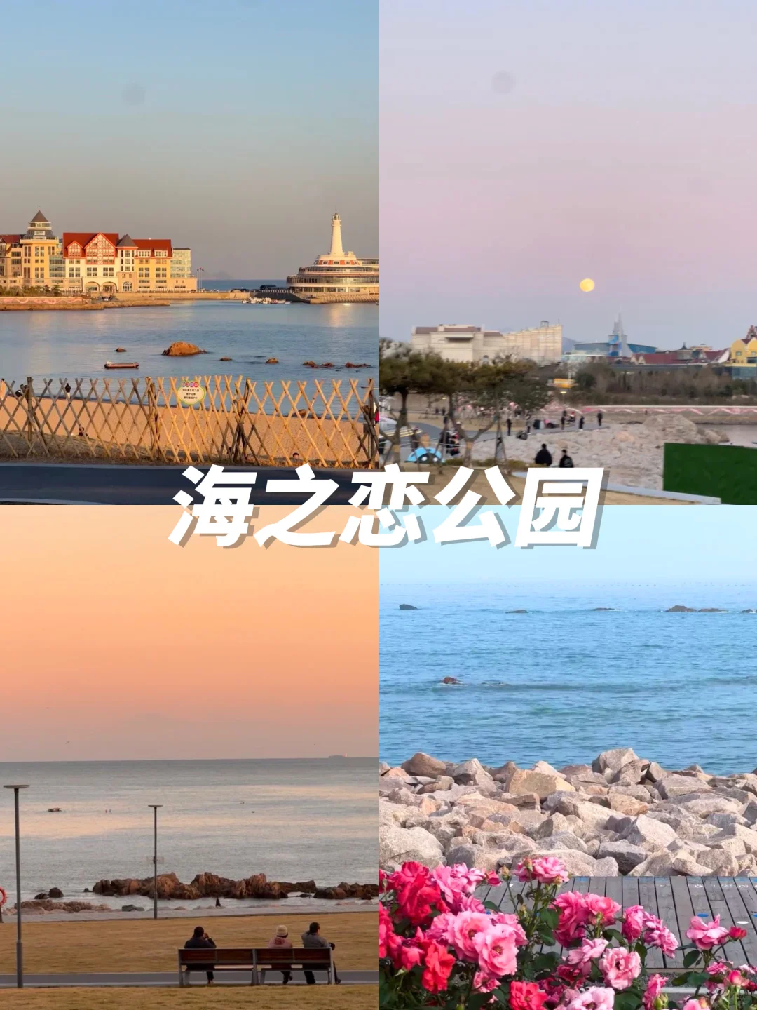 12月来青岛的进👏本地人带路不踩雷攻略‼️