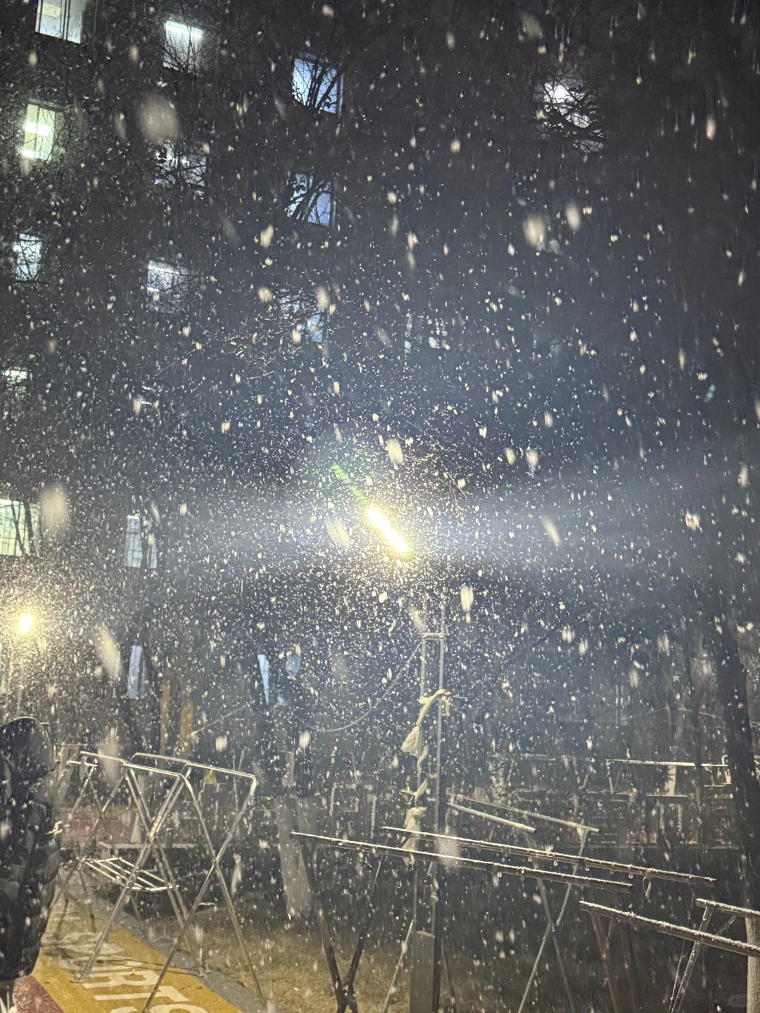 哈哈哈青岛也是下大雪了