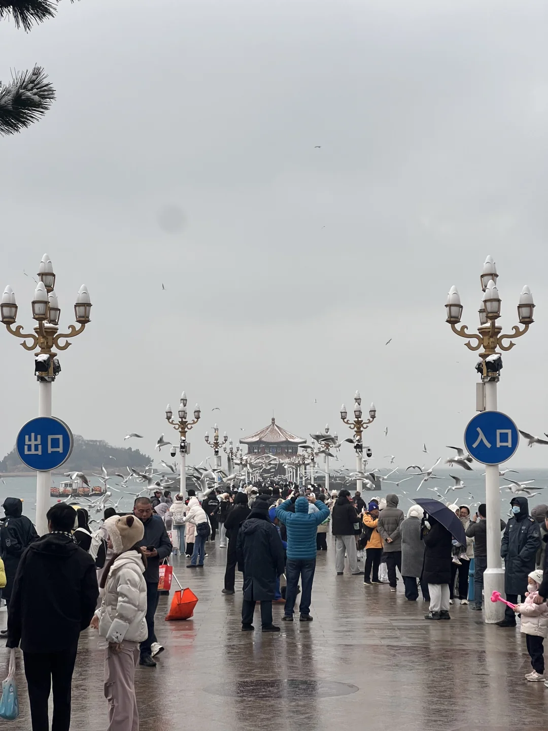 青岛栈桥粉丝/家禾免费拍
