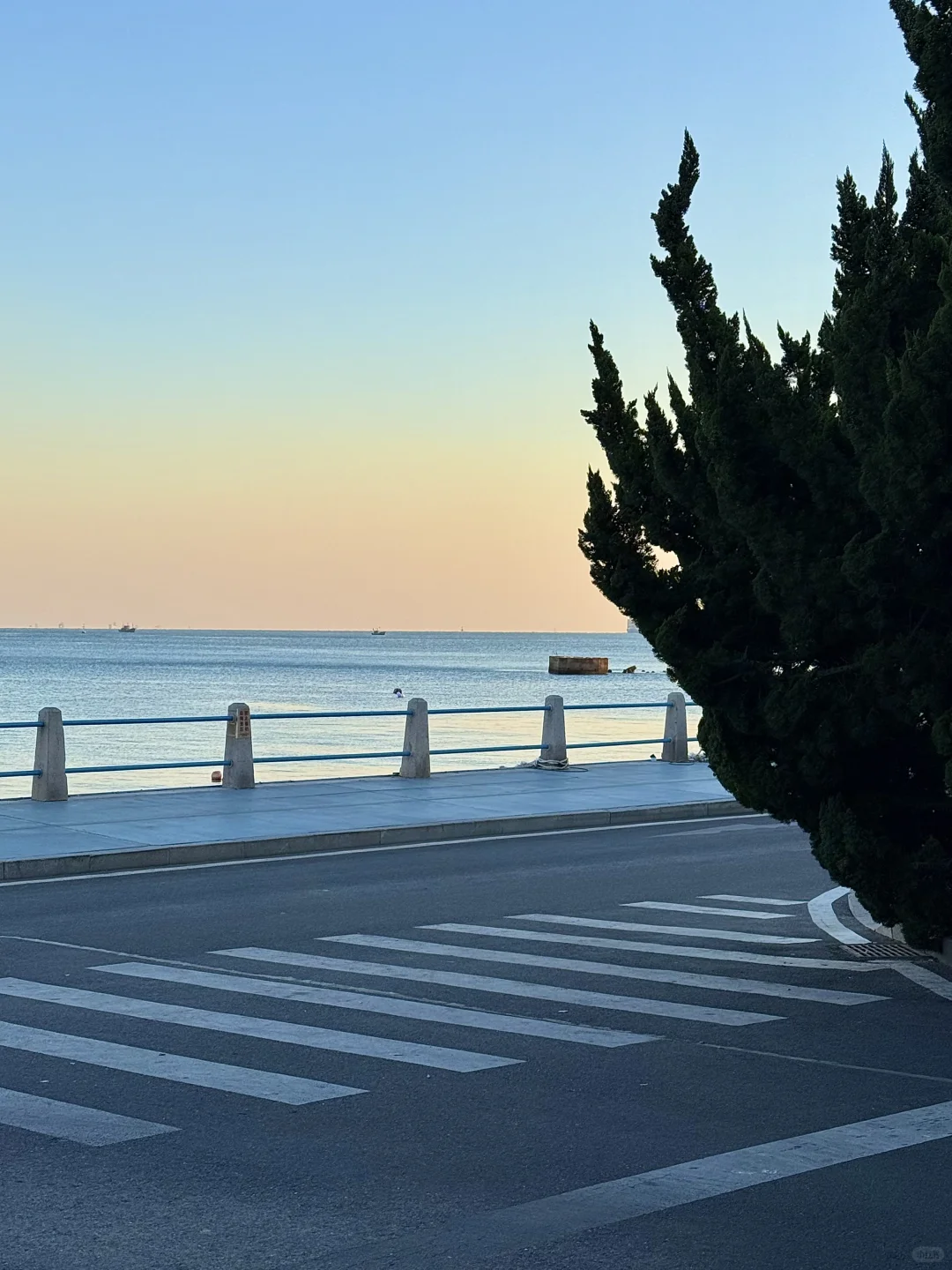 来青岛的第一站！！不要直奔栈桥！！！