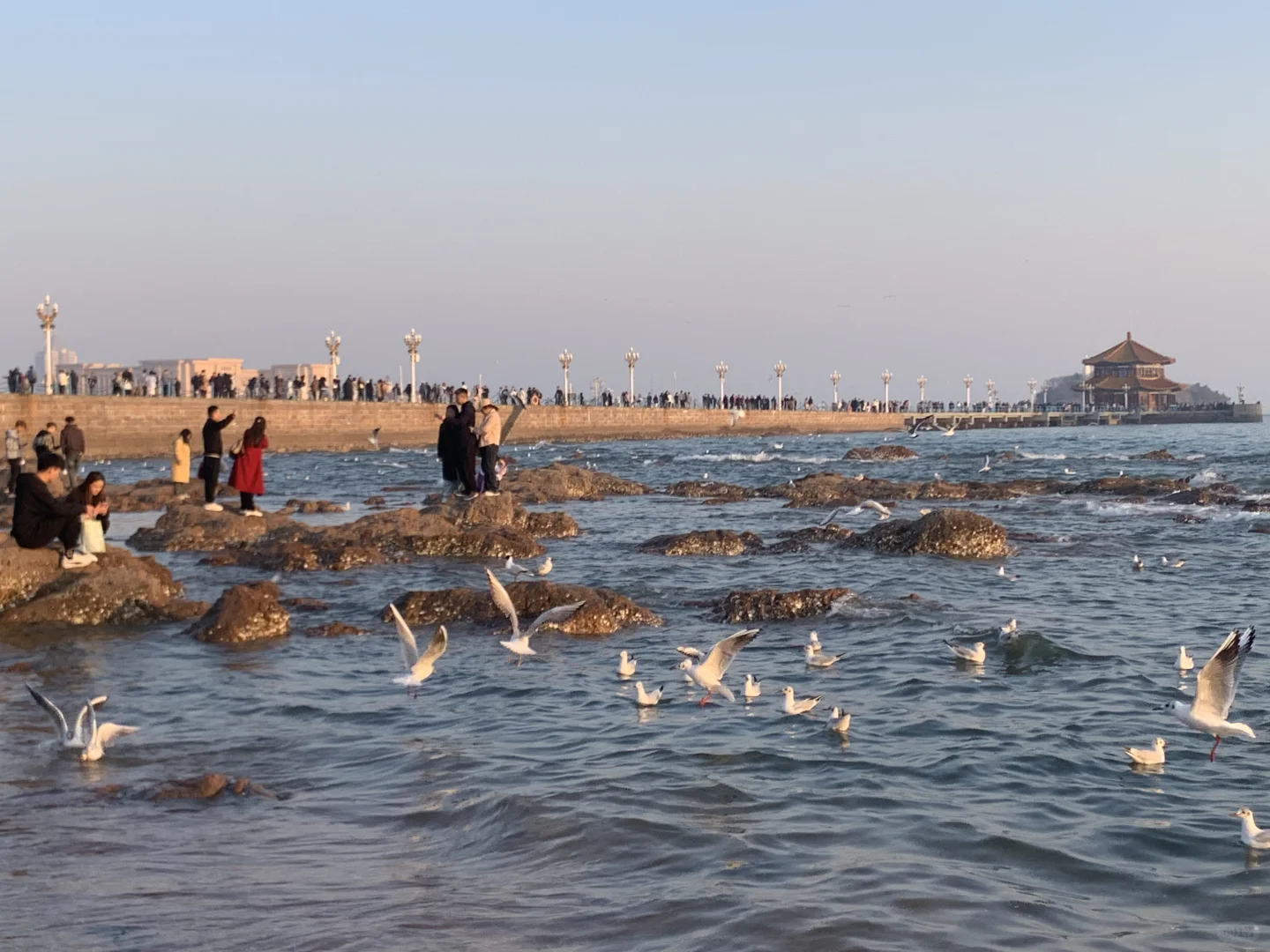 青岛栈桥今日实况