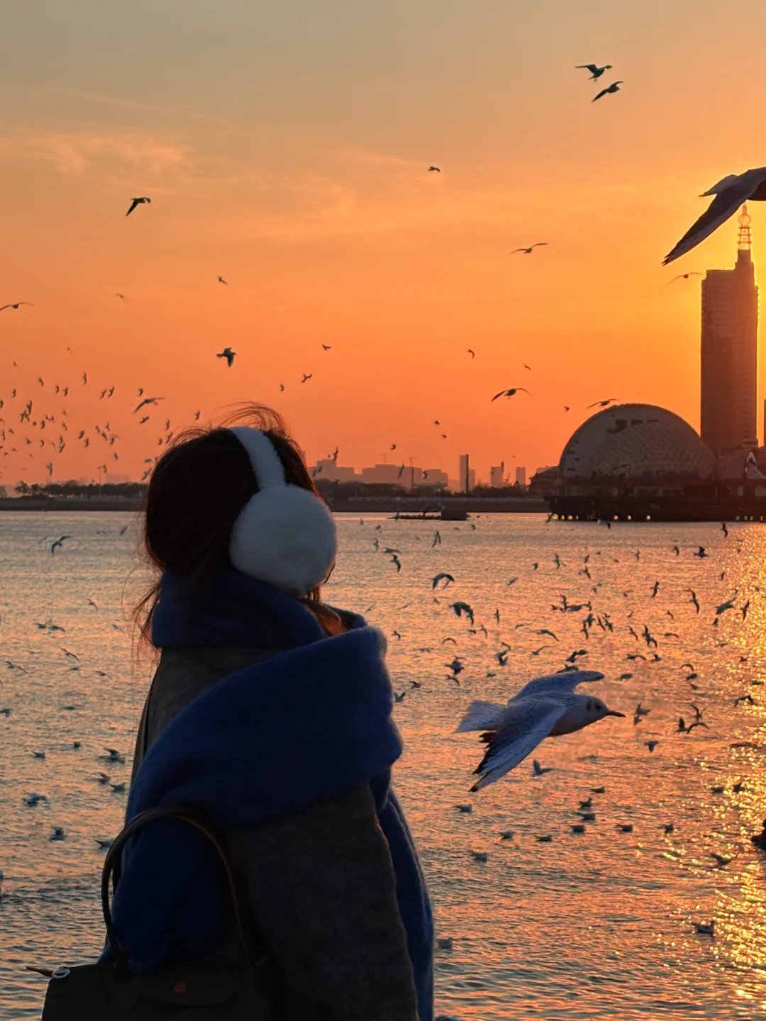 12🈷️的青岛才是真正的Dream world📍