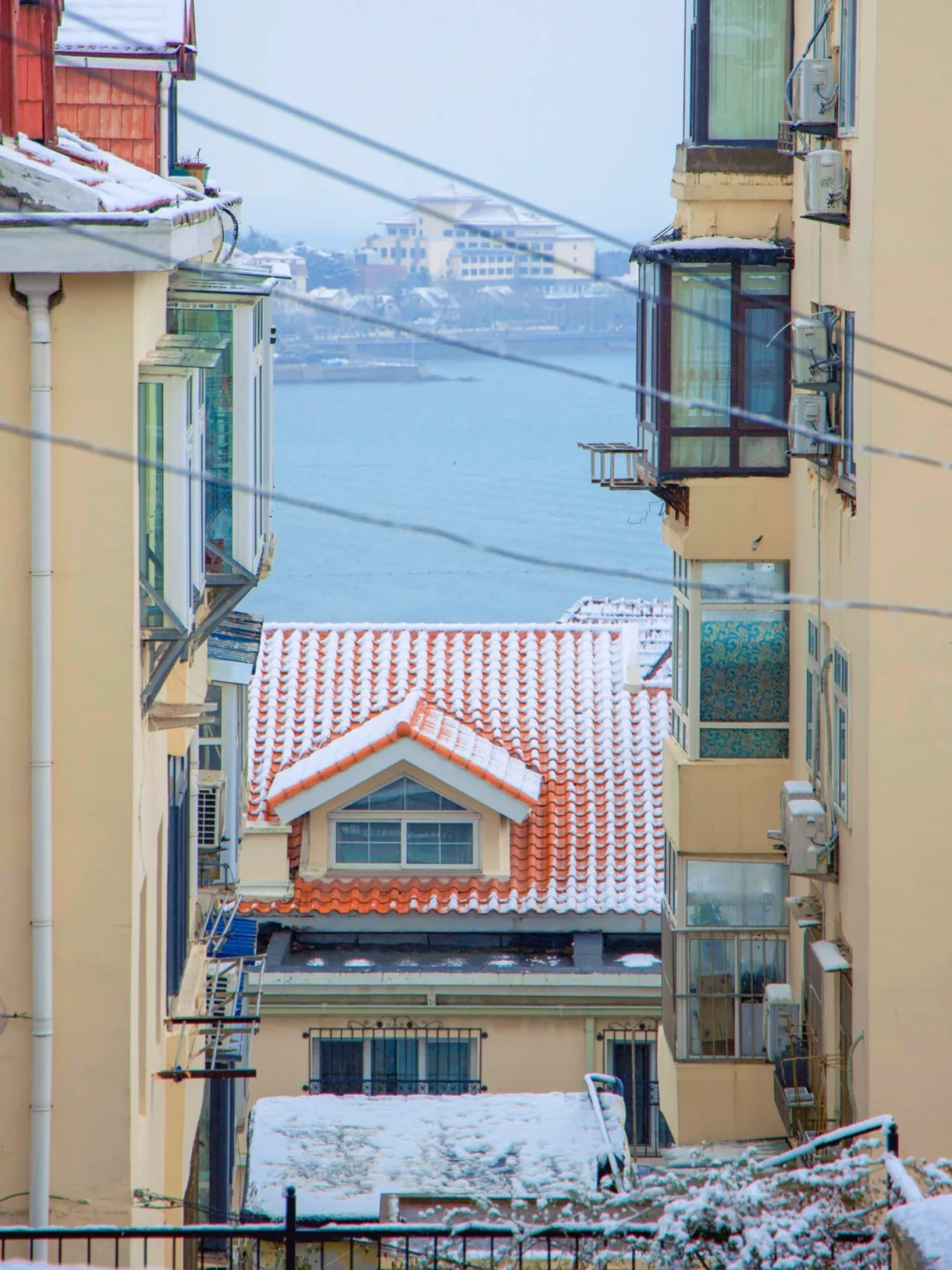 我宣布！！青岛是冬天最浪漫的海滨城市