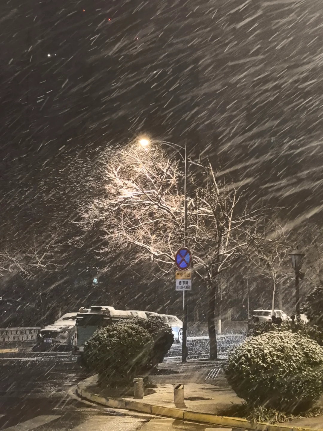 2025.12.12青岛初雪