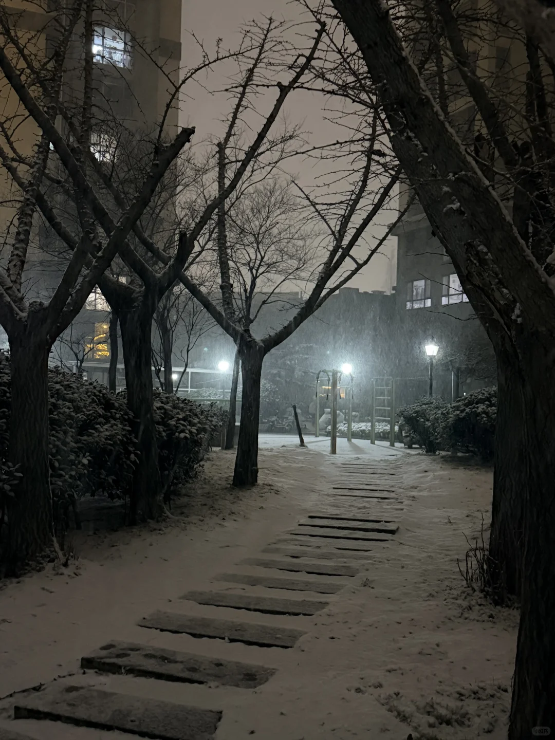 黄岛人！别睡了出门玩雪！！！！！！