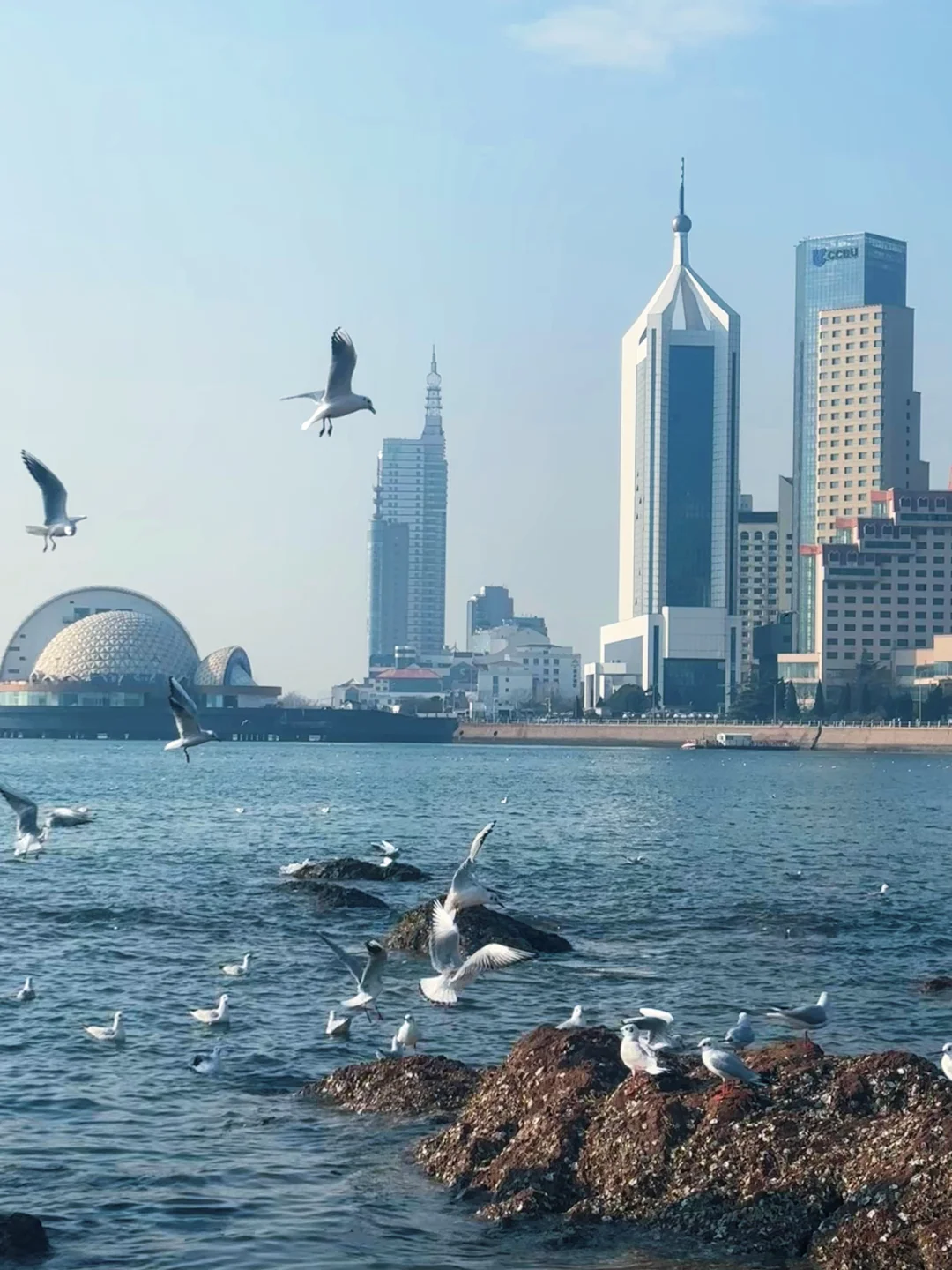 人均2.5k广州出发，山东追雪5日游之青岛站❄️