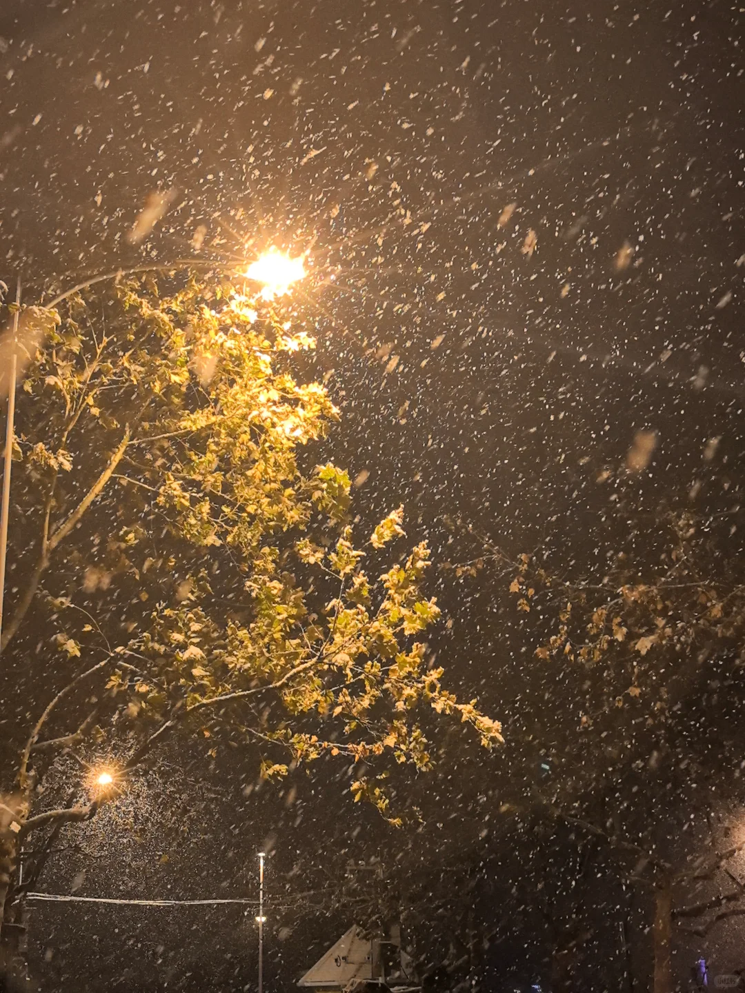 2025.12.12青岛初雪