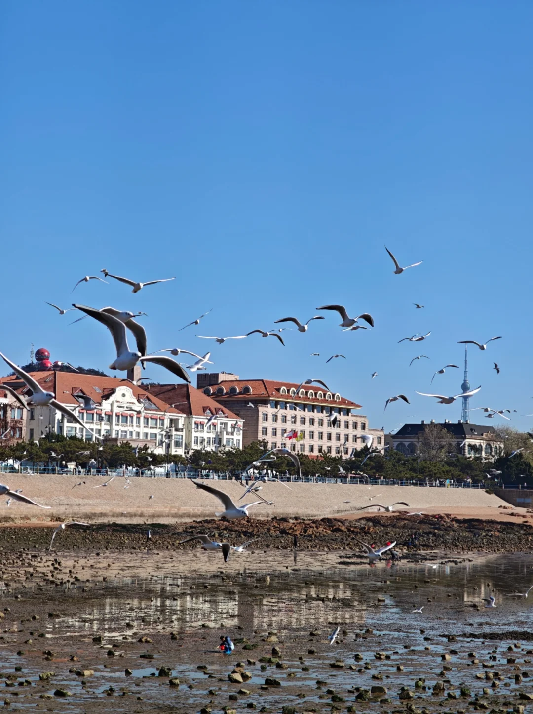 青岛一日city walk最佳路线