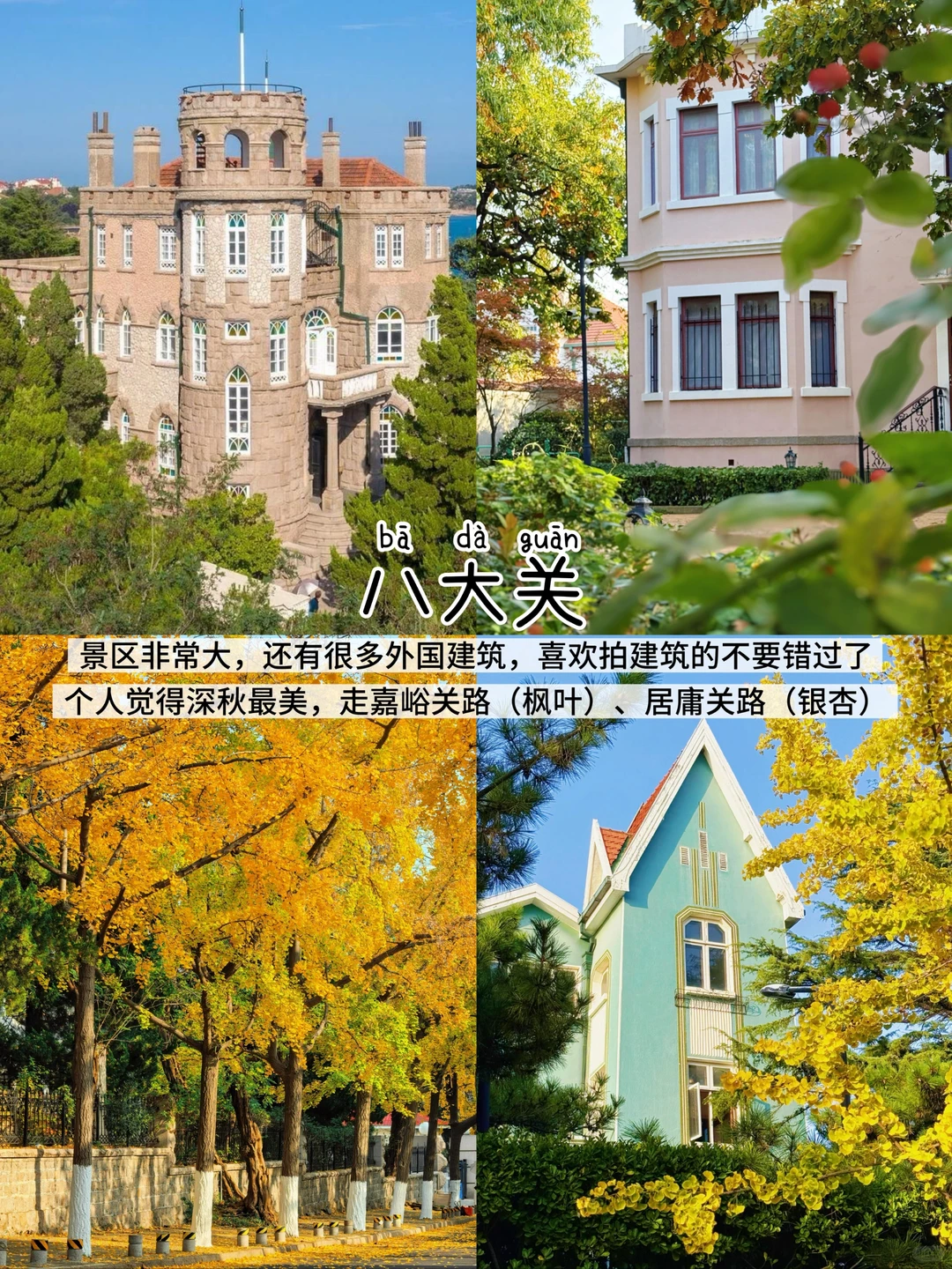 青岛三天两夜📍懒人版保姆级逛吃攻略‼️