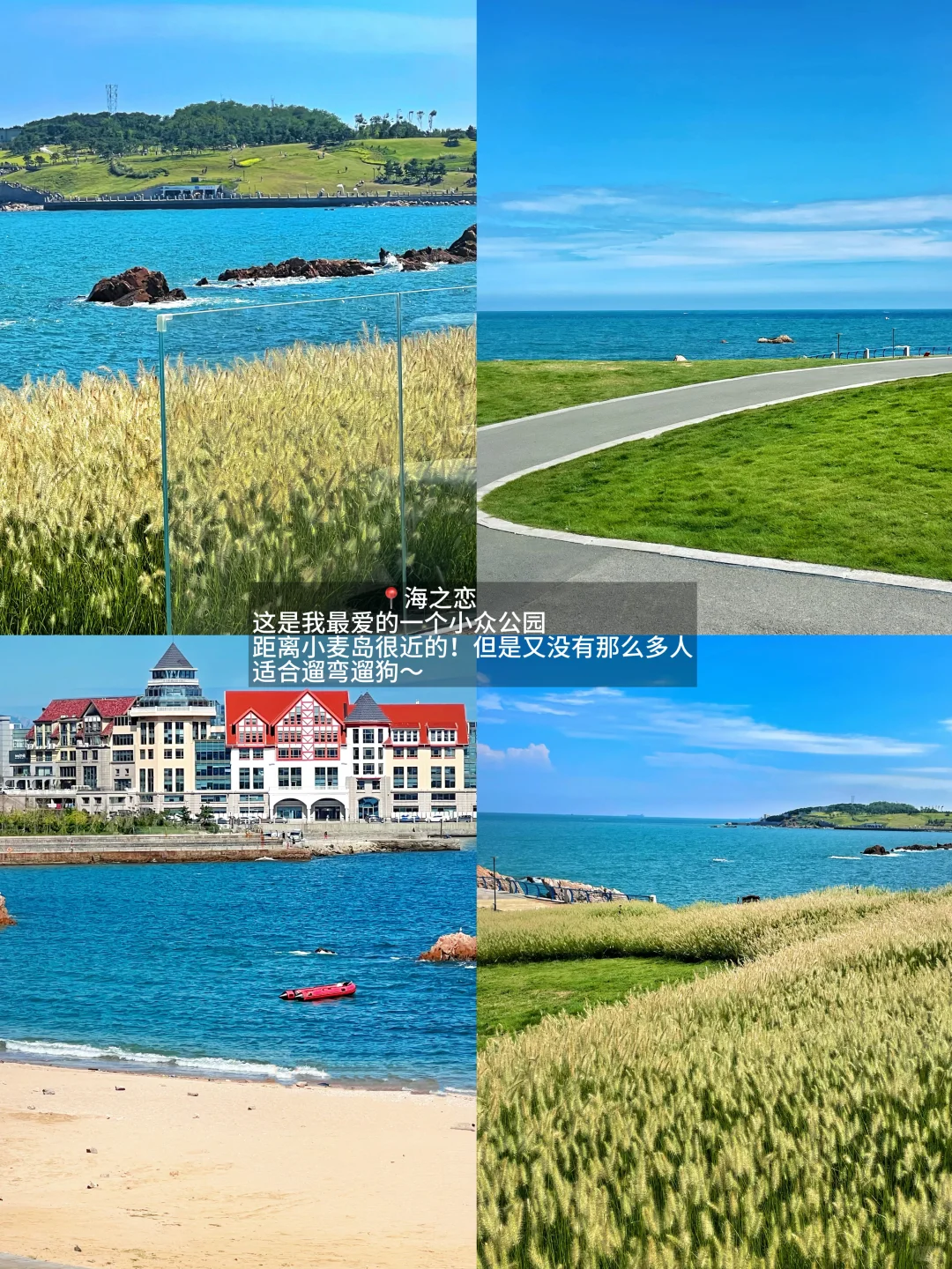 整理了秋天青岛一些适合拍照的地方（合集）