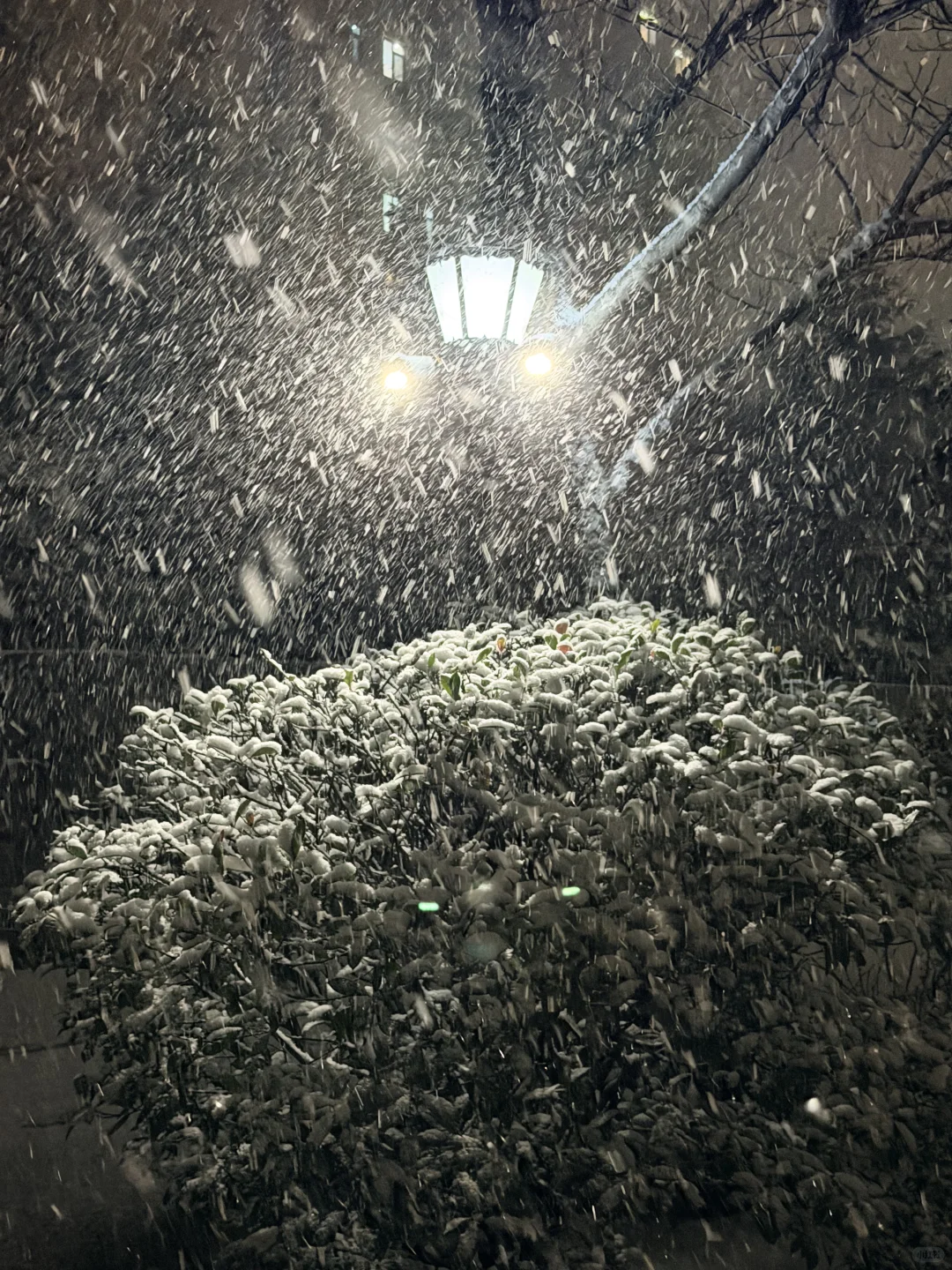 黄岛人！别睡了出门玩雪！！！！！！