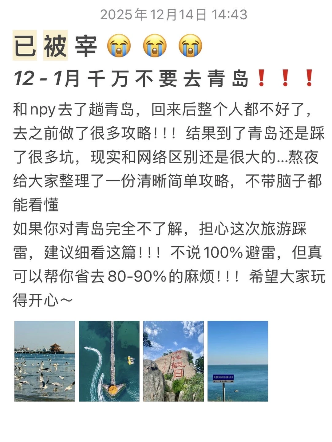 1214📍青岛已回，来听些大实话…