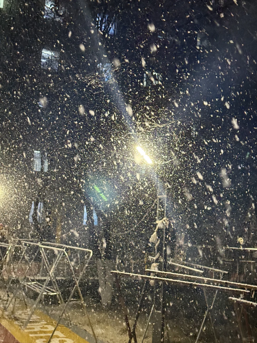 哈哈哈青岛也是下大雪了