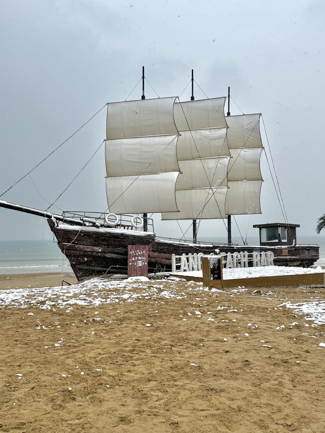 12.13实况，青岛初雪❄️！！美到失语