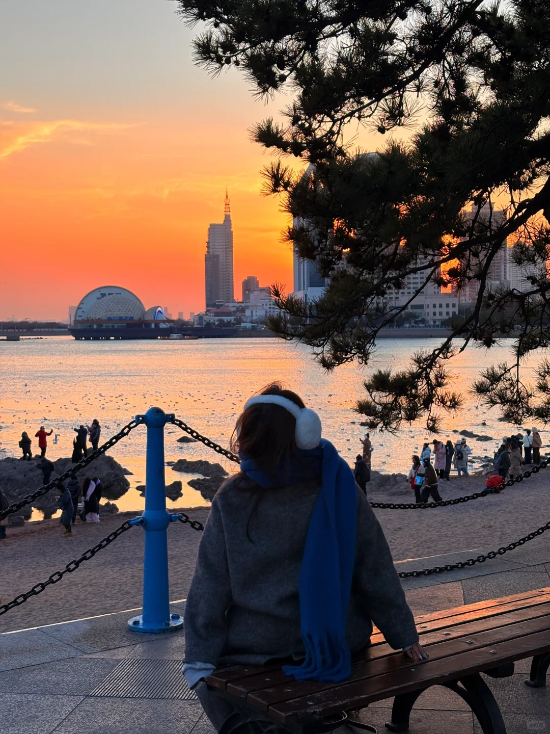 12🈷️的青岛才是真正的Dream world📍