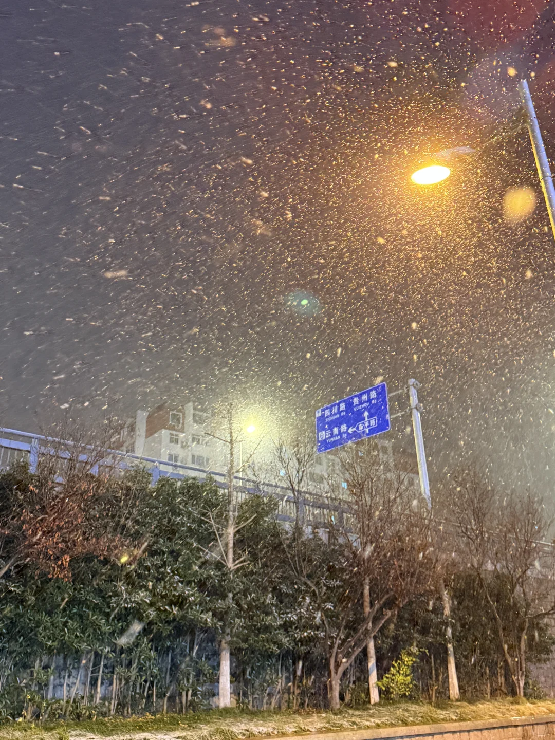 12.12青岛下雪了耶❄️❄️