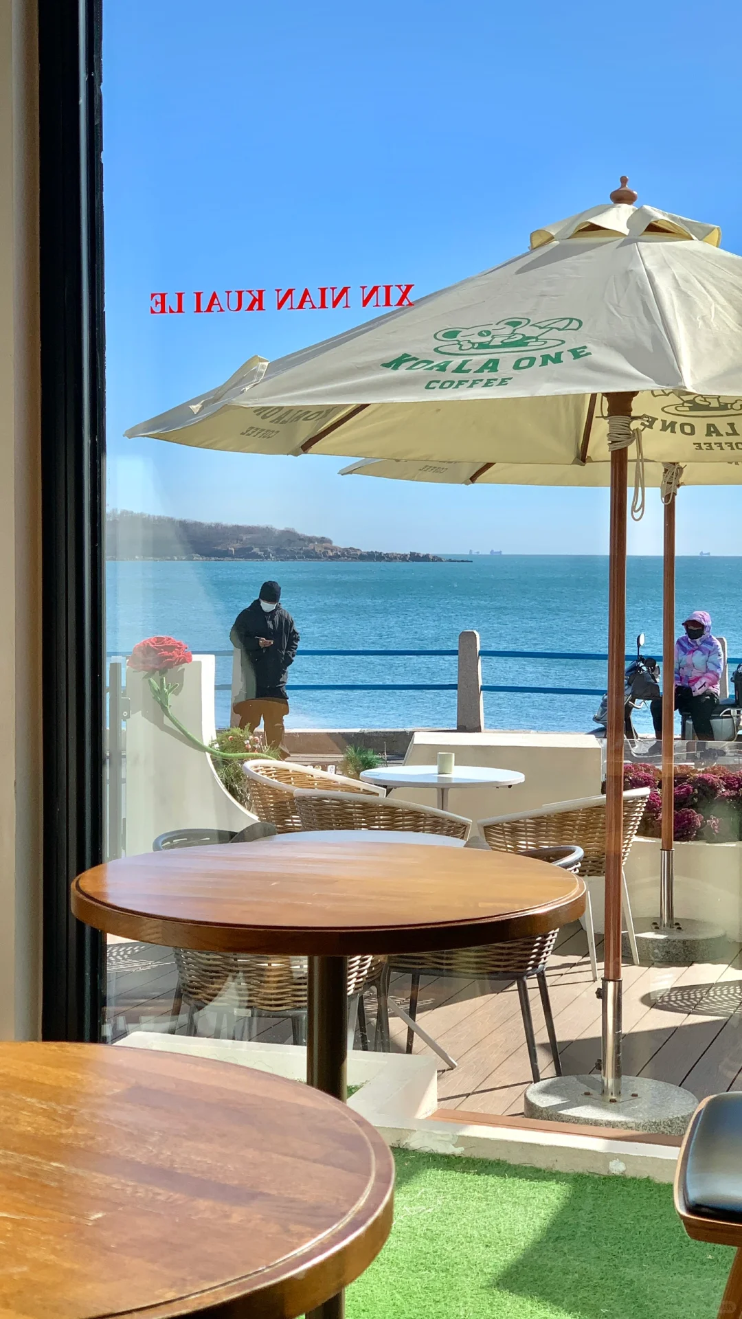 📍1.14来青岛了！冬天的大海怎么能不爱！